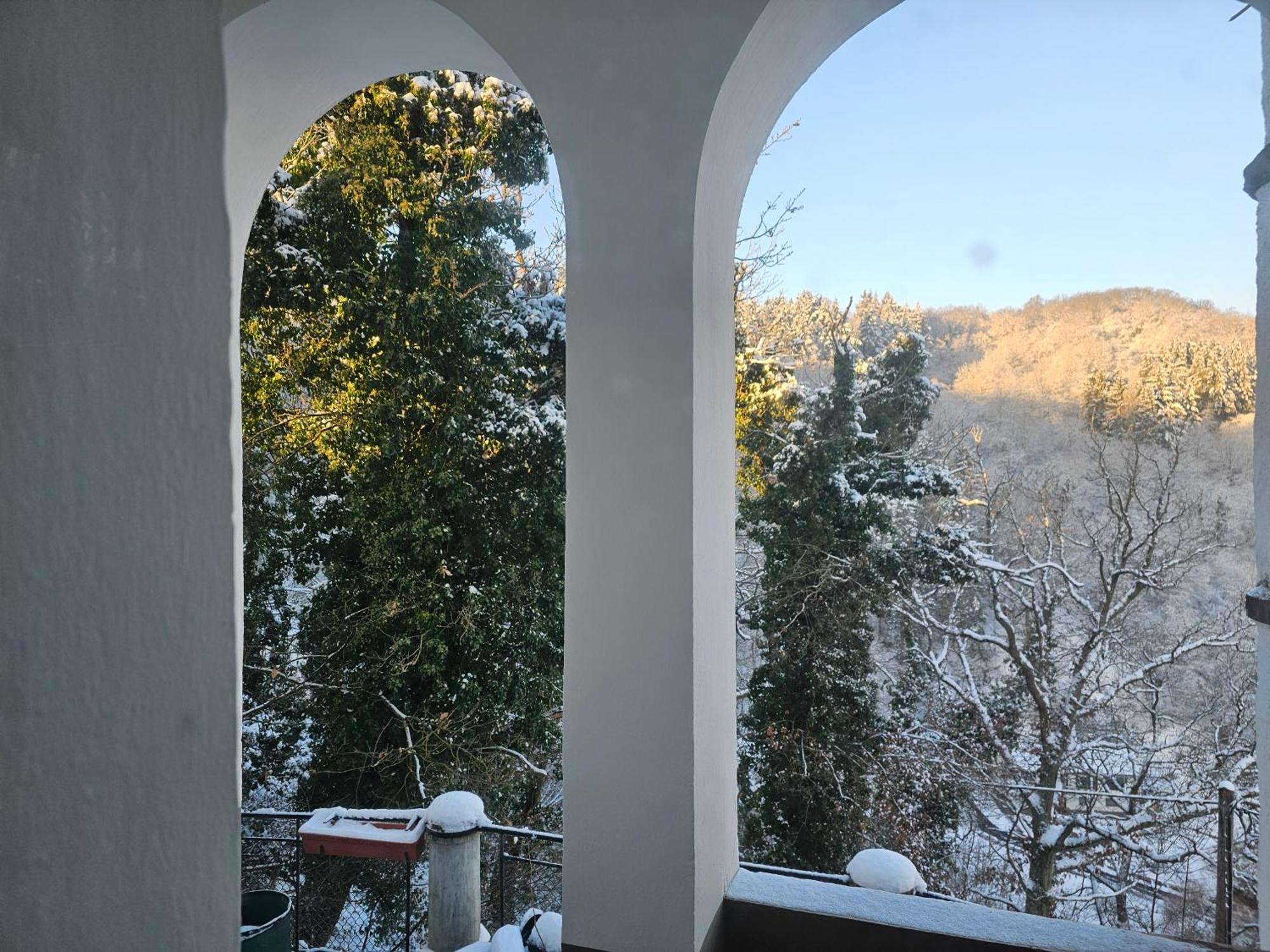 Little Rhineview Chateau Ug Boppard Zewnętrze zdjęcie